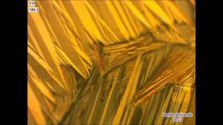CuAlNi thermoelastic martensite, cycled through transformation temperature