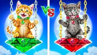 Comment Am&eacute;nager une Chambre Secr&egrave;te pour les Chatons! Chat Rubis contre Chat &Eacute;meraude!