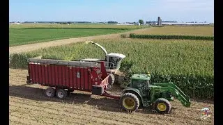 FIRST Corn Silage Video of the 2020