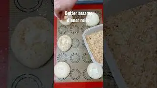 Butter sesame dinner rolls #dinnerrolls #sesame #bread #bakery #food #butter #ขนมปังงา #ขนมปัง