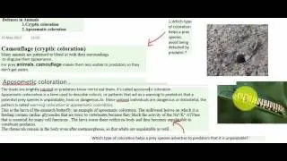 DEFENCES IN ANIMALS CRYPTIC AND APOSEMATIC COLORATION