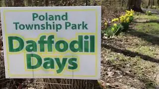 Poland Township Park Daffodil Days