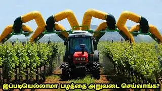 இப்படியெல்லாமா பழத்தை அறுவடை செய்வாங்க | Amazing Fruit Harvesting Machines | Big Machines