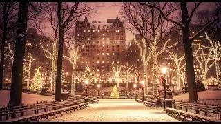 Peaceful Winter Night in the City ❄️ Soft Piano & Snowy Park Ambience