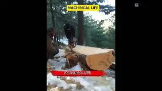Chain saw machine wood cutting checking#chainsaw #machine #woodworking #cutting#checking
