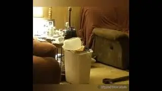 Unexplained Movement