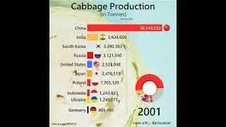 Which country produces the most Cabbage?