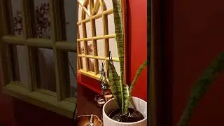 I want it. I got it! Period. #homedecor #diy #hobby #margarita #cribs #juansarav