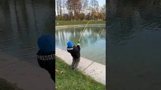 Enes Usta balık avı 2.0 Drill-Action pur! 🐟⚡Forelle jagd #fishing #balık #carp #angel #savaş