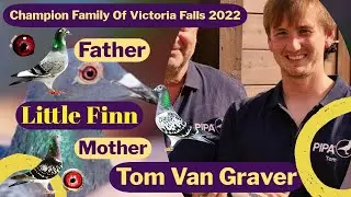 Champion Family Of Victoria Falls WCPR | Tom Van Graver | Racing Pigeons 2022 | Little Finn