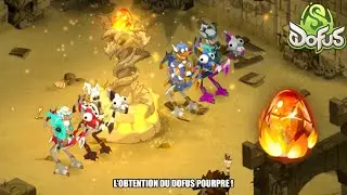 ❤️ DOFUS POURPRE EN POCHE 💎 ET MAINTENANT ? 🤔 - LTDI | DOFUS 3