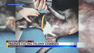COUNTY BY COUNTY: ENC animal shelters faces civil penalties, trainer arrested on animal cruelty char