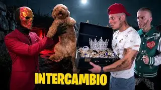 RESCATAMOS A NUESTRO PERRO DE SU SECUESTRADOR!