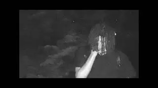 EKKSTACY - yesterday / whatshouldido? (Dir. @ekkstacy) [Official Music Video]
