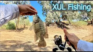 סשן דיג XUL מס' 2  ל2023 מוצלח באגם הנקיק 🎣 2nd successful XUL fishing session HE/EN Subs