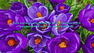 Self-Accountability Self-Empowerment--Diana Zen