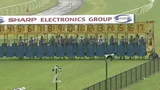 Newcastle Races 220619