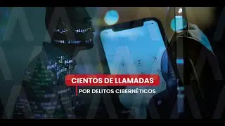 Se reciben cientos de llamadas por delitos cibern&eacute;ticos