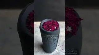 Jbl bass test star