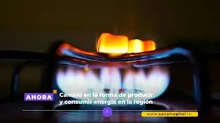 En Cundinamarca convierten esti&eacute;rcol de cerdo en gas limpio para el campo | Actualidad