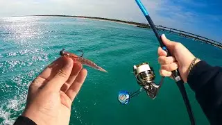 JETTY fishing for SNOOK