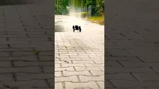 WOW😳Rc car SCY 16103🔥Check my channel and subscribe for more Rc videos👍🏻 #rc #rccar #scy16103