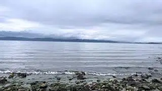 Muffled Ocean Waves & Wind | Deep Sleep Sea Sounds | Natural Coastal ASMR Ambience