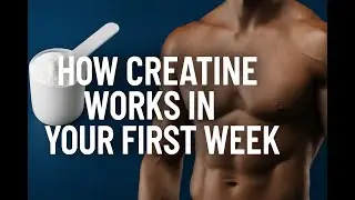 How Creatine Works in Your First Week &ndash; What You&rsquo;ll Actually Feel