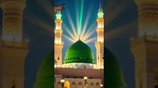 Hara Gumbad Jo Dekhoge Jamana Bhool Jaoge 😍🕌 | Heart Touching Naat | Islamic Status | #shorts #yt