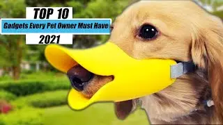 Most Amazing Top 10 New Gadgets 2021 [Amazing Gadgets Every Pet Owner Must Have]
