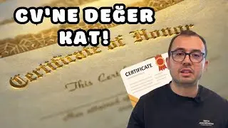 Dil Okulu mu Sertifika Programı mı 🎓 Hangisi Daha Mantıklı?