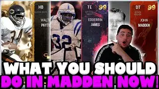 WHAT TO DO IN MUT 23 RIGHT NOW! SAVE COINS, CHASE FREE ITEMS! WHAT TO GRIND IN MUT 23! MUT 23!