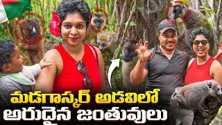 What Happened in the Madagascar Jungle?! 😱 | Telugu Girl & African Boy Travel Vlog
