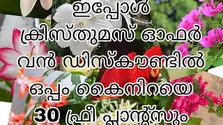 ഇപ്പോൾ ക്രിസ്തുമസ് ഓഫർ വൻ ഡിസ്‌കൗണ്ടിൽ ഒപ്പം കൈനിറയെ ഫ്രീ പ്ലാന്റ്സും 🎄🎄🎄🎄🎄🎄🎅🎅🎄🎄🎄🎅🎄🎄🎅🎅🎆🎀🎀🎀🎀🎁🎆🎆🎆🎄🎅🎅🎅🎅