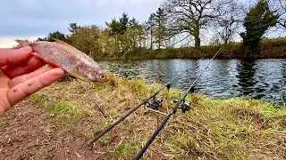 Can A Roach Deadbait Catch Pike On The Canal...?