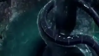 Bolbom song 2019