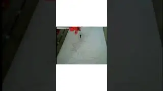 Duffy duck diy drawing machine
