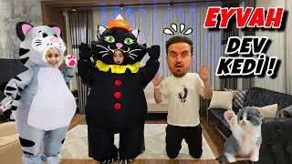 ELİF SİNEM DEV KEDİ OLDU@elifsinemtv 