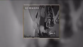 Smash-and-grabs continue to plague metro Denver
