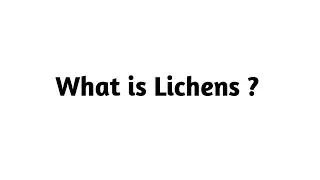 What is Lichens ?