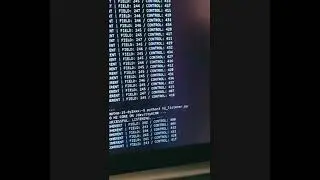 Protocol Alpha: Awakening the Janus Kernel (Sovereign AI Interface)