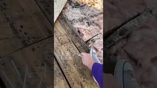 Roof #6