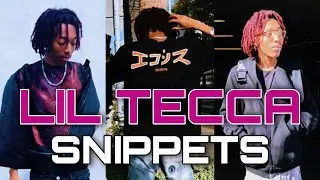 LIL TECCA SNIPPETS 2021