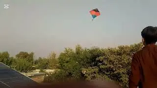 4 Cutting kites caught and flying beautiful pari❤️