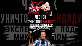 Чеснок уничтожил агрессивную форму грибка Кандида #кандида #грибок #здоровье