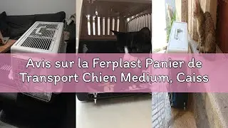 Avis sur la Ferplast Panier de Transport Chien Medium, Caisse de Transport Chiens jusqu'à 15 Kg, Por