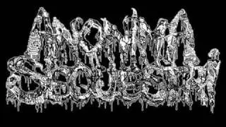 Anonima Sequestri - Screwed Into Ethylic Coma