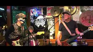 Debbie Davies -- I Came To Play
