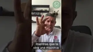 The Crop Booster: Testimonio de su uso en Cultivos de Ma&iacute;z
