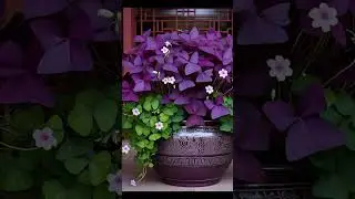 👌 Relaxing Garden Corner for Your Backyard